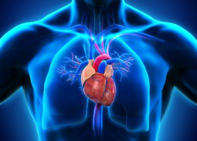 Cœur & poumon